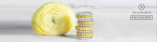 Picchiotti Jewelry - Luxury Jewelry at LaViano Jewelers