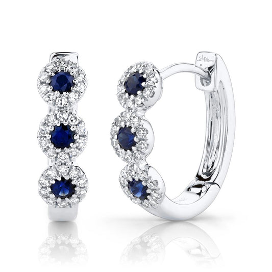 Shy Creation 14K White Gold Sapphire and Diamond Earrings