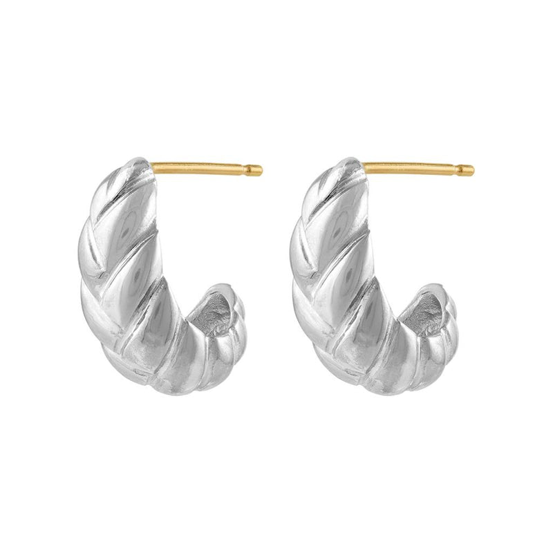 LaViano Fashion Sterling Silver Earrings