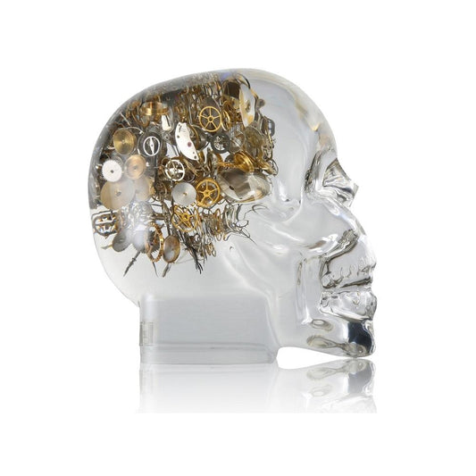 SMALL SKULL LOST IN TIME