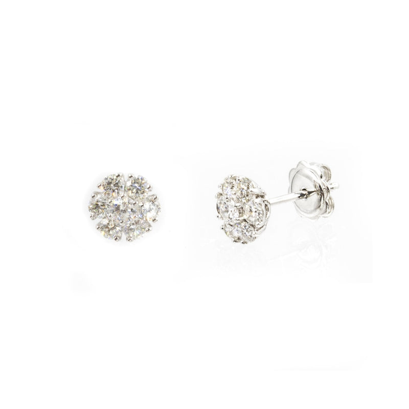 LaViano Jewelers Earrings - 14K White Gold Diamond Earrings 