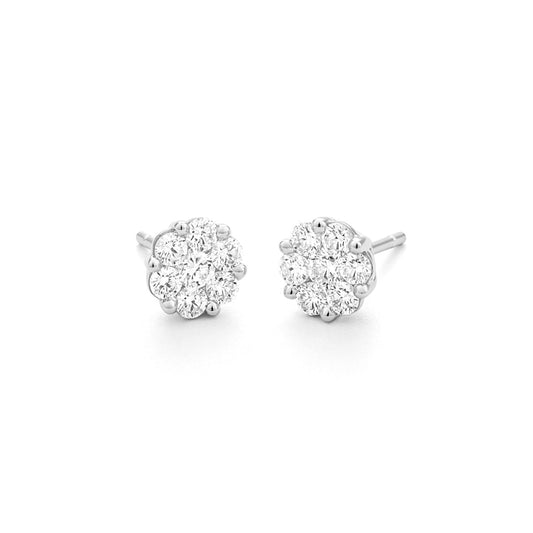 LaViano Jewelers Earrings - 14K White Gold Diamond Earrings 
