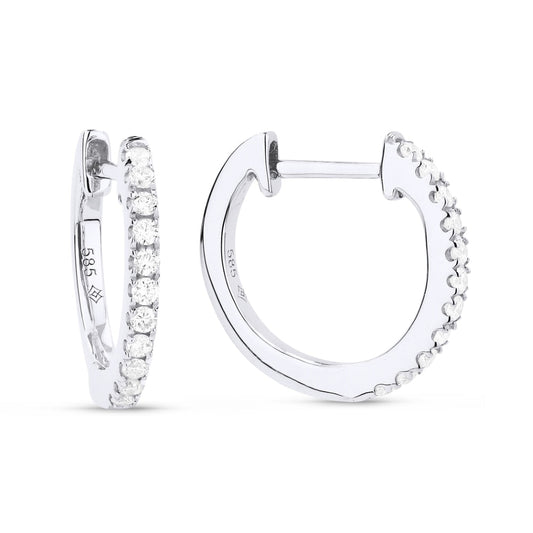 LaViano Jewelers Earrings - 14K White Gold Diamond Earrings 