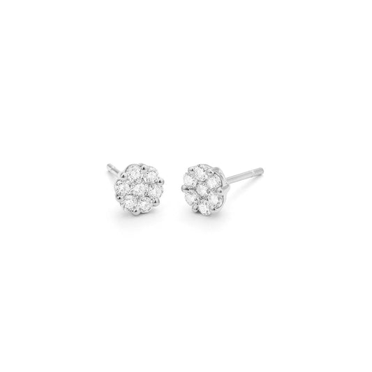 LaViano Jewelers Earrings - 14K White Gold Diamond Earrings 